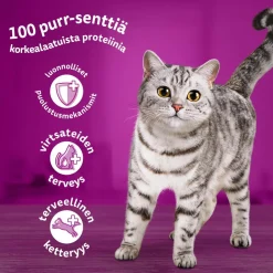 WHISKAS 7+ SUOSIKIT LAJITELMA KASTIKKEESSA 12*85G 1,02 KG