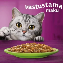 WHISKAS 7+ SUOSIKIT LAJITELMA KASTIKKEESSA 12*85G 1,02 KG