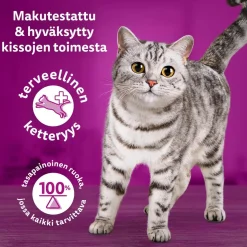 WHISKAS 1+ TASTY MIX MAALAISSEKOITUS KASTIKKEESSA 12*85G