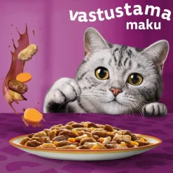 WHISKAS 1+ TASTY MIX MAALAISSEKOITUS KASTIKKEESSA 12*85G