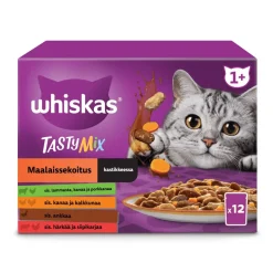 WHISKAS 1+ TASTY MIX MAALAISSEKOITUS KASTIKKEESSA 12*85G