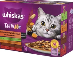 WHISKAS 1+ TASTY MIX MAALAISSEKOITUS KASTIKKEESSA 12*85G