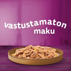 WHISKAS TÖLKKI ANKKAA HYYTELÖSSÄ 400 G