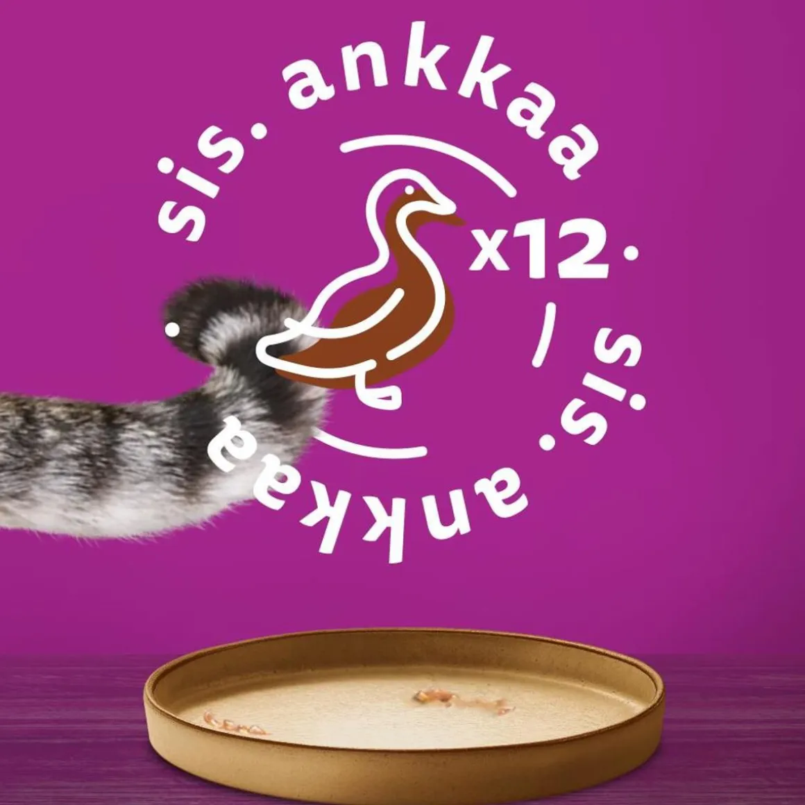 WHISKAS TÖLKKI ANKKAA HYYTELÖSSÄ 400 G
