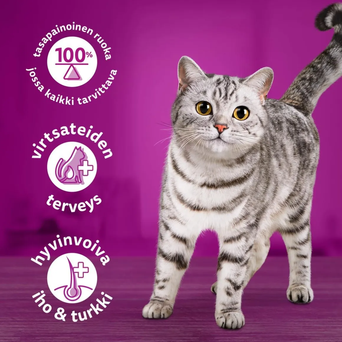 WHISKAS TÖLKKI KANAA KASTIKKEESSA 400 G