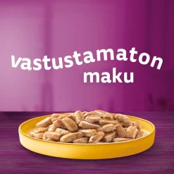 WHISKAS TÖLKKI KANAA KASTIKKEESSA 400 G